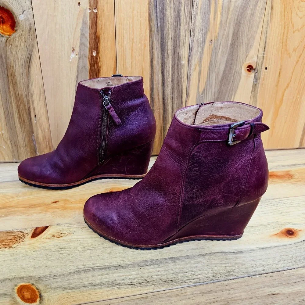 Biala alaina purple